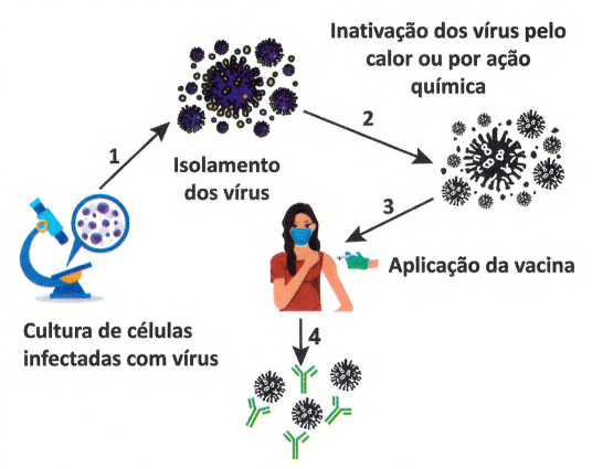 produção de vacinas